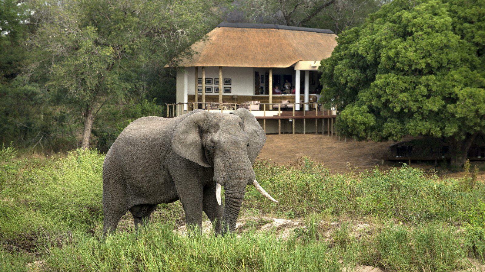 Dulini River Lodge Images 3