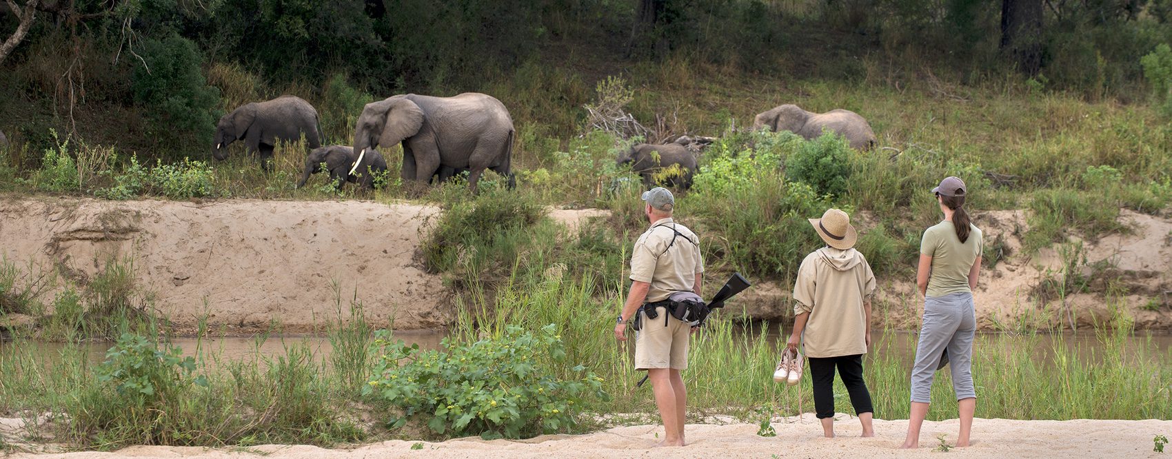 Dulini private game reserve images 27