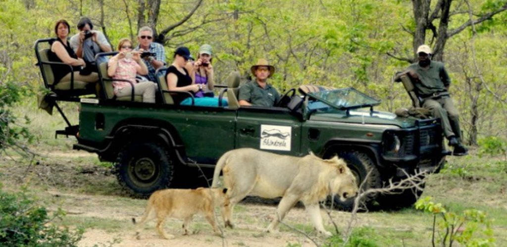 Kruger Park Lodges: Sabi Sands Reservations