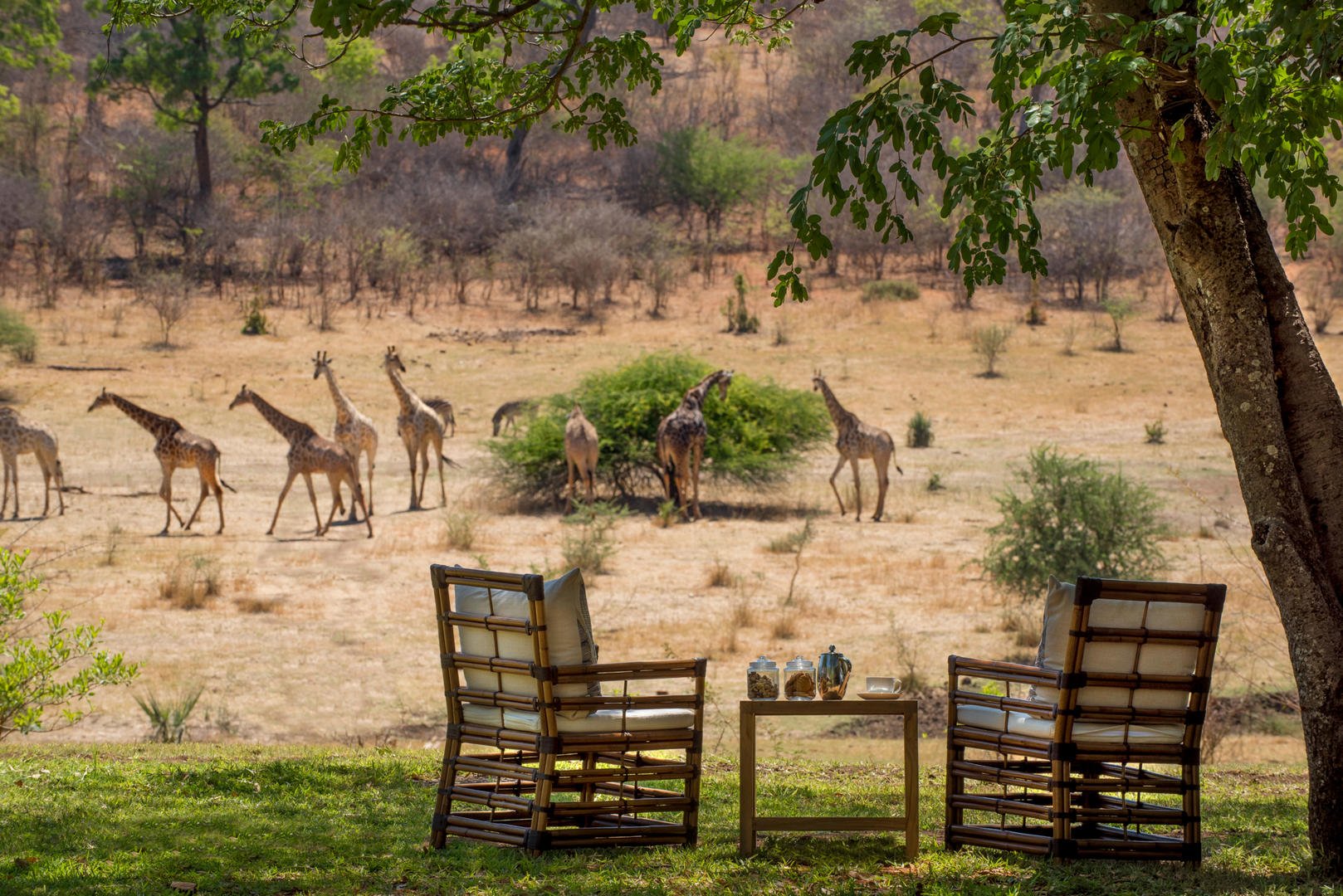 Stanley Livingstone Boutique Hotel Victoria Falls Matabeleland North Province 17