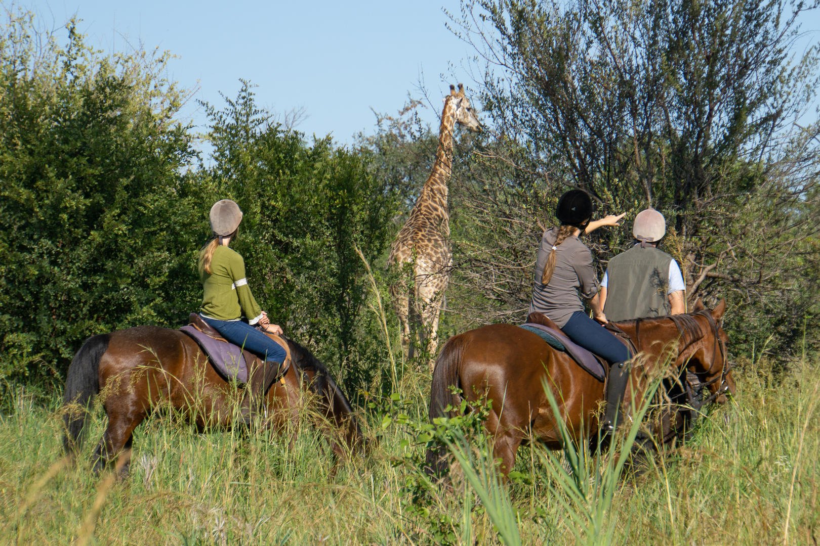 Stanley Livingstone Boutique Hotel Victoria Falls Matabeleland North Province 3