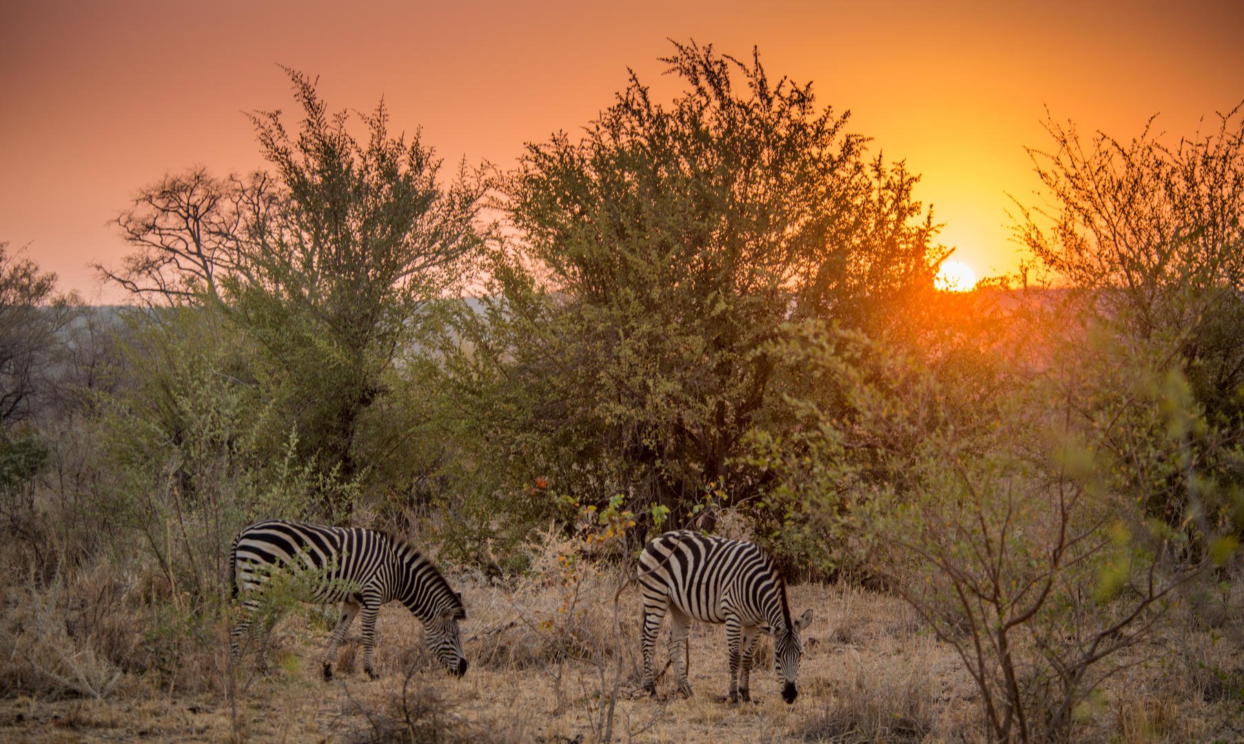 Stanley Livingstone Boutique Hotel Victoria Falls Matabeleland North Province 33