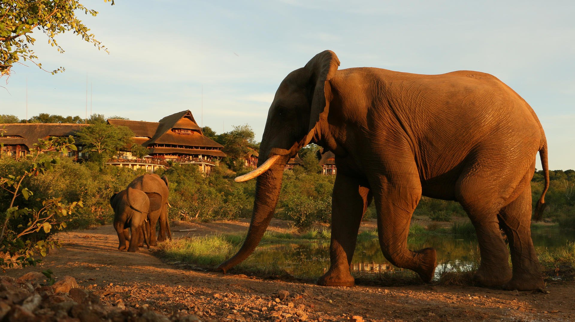 Victoria Falls Safari Lodge Zimbabwe 12