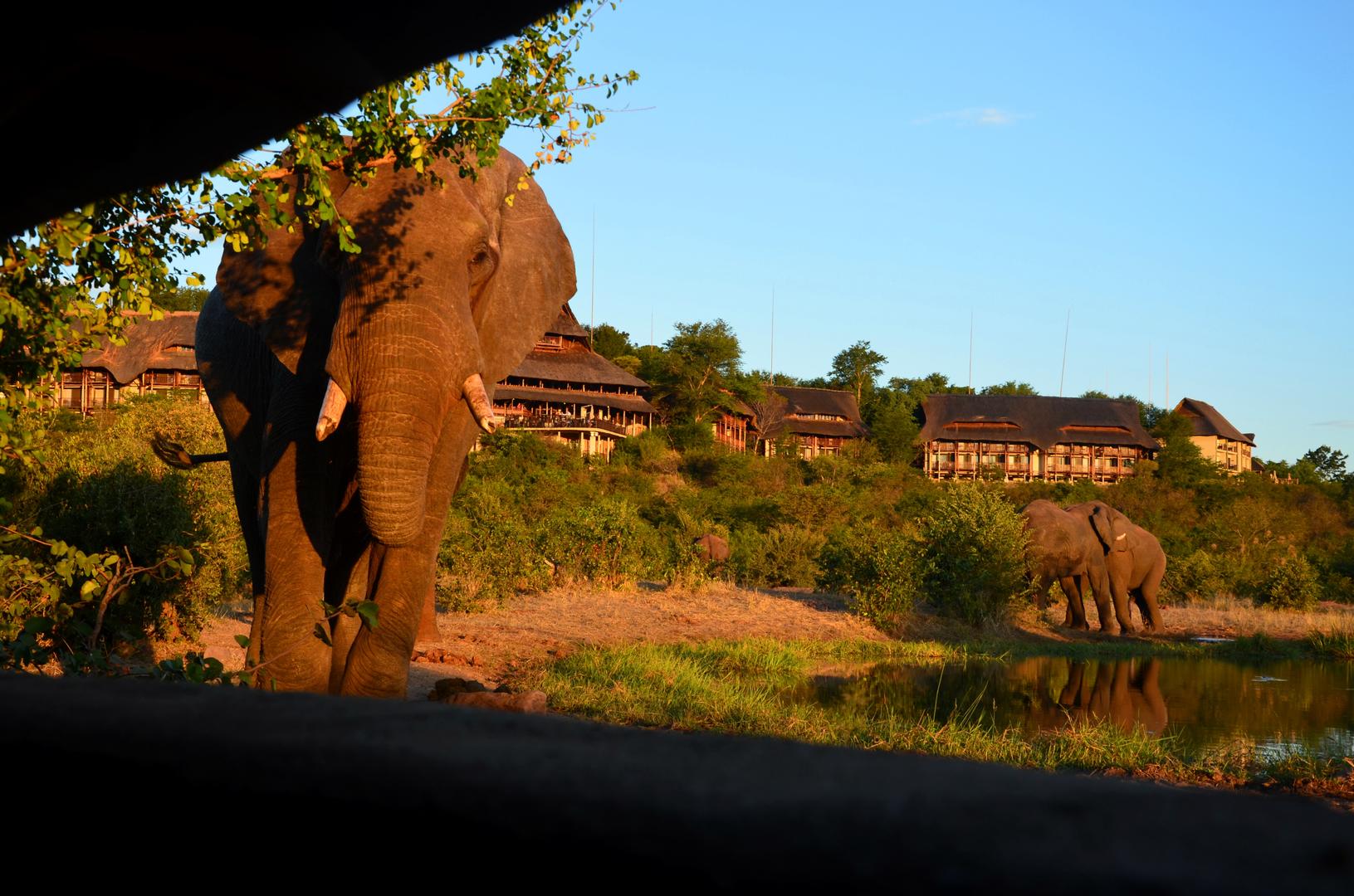 Victoria Falls Safari Lodge Zimbabwe 14