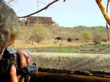 Victoria Falls Safari Lodge Zimbabwe 2