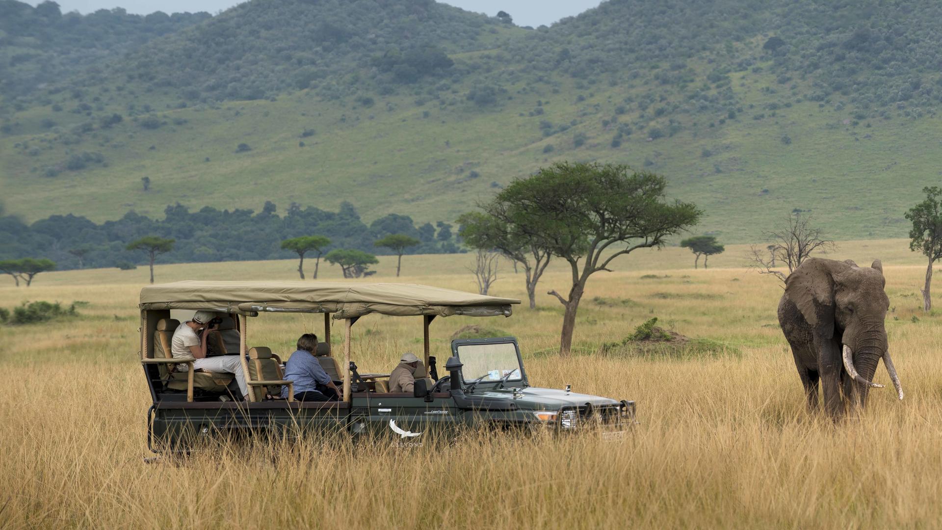 &beyond Bateleur Camp 