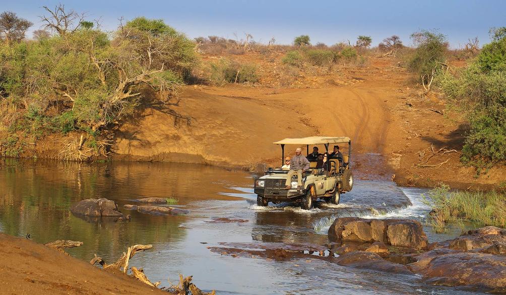 game drive madikwe river lodge