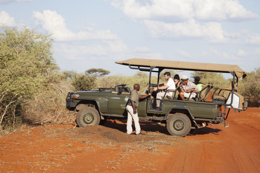 Molori game drive high res