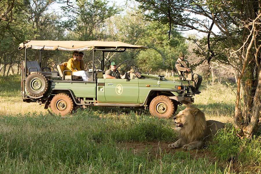 game drive  IN MATEYA