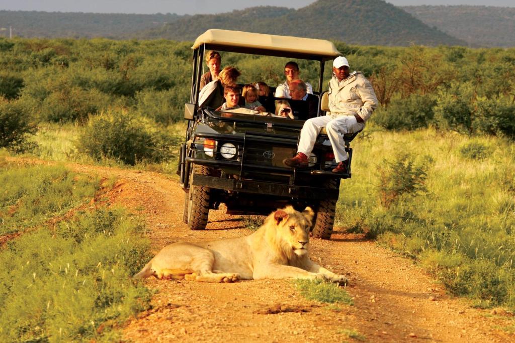 game drive madikwe hills