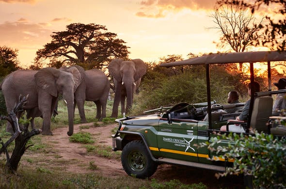 victoria falls river lodge elephant encounter on game drive